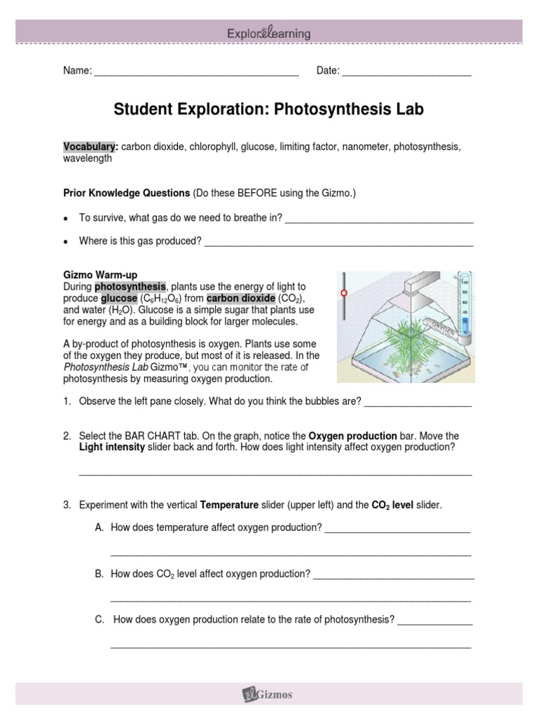 Student Exploration: Photosynthesis Lab | PDF | Photosynthesis 
