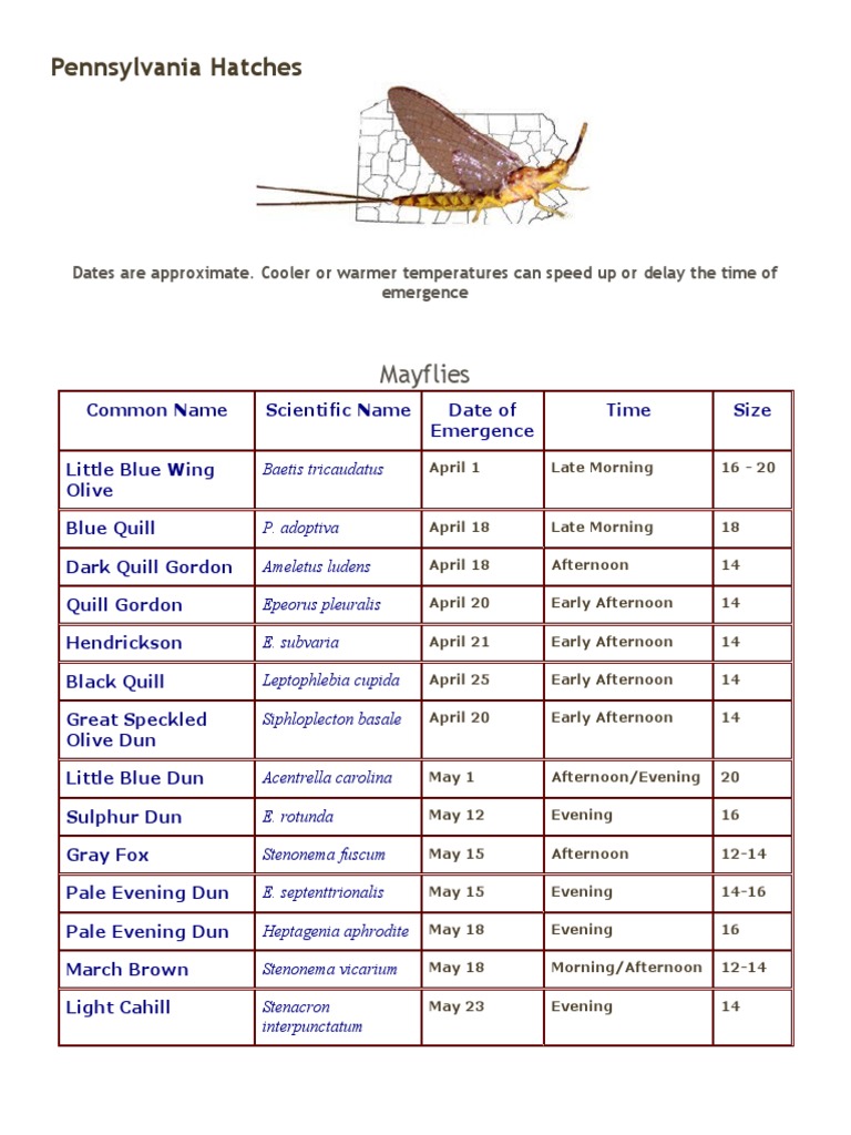 Pennsylvania Hatches: A Comprehensive Guide to Mayfly, Caddisfly, and ...
