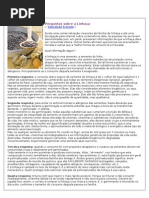 Perguntas sobre a Linhaça