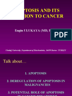 Apoptosis and Its Relation To Cancer: Engin Ulukaya (MD, PHD)