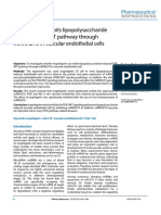 Isoginkgetin Inhibits Lipopolysaccharide Induced Pi3kakt Pathway Through Irna210 in Vascular Endothelial Cells