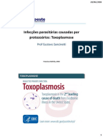 Toxoplasmose: agente, ciclo de vida, transmissão e manifestações clínicas