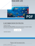 Locomoción en peces: tipos y resistencias