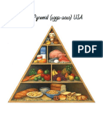 The Food Pyramid (1992-2010) USA