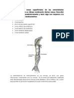 Anatomia Taller