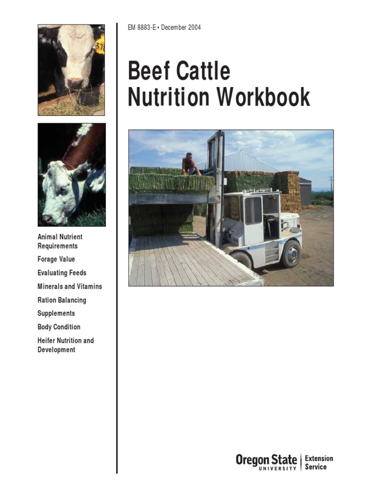 Beef Cattle Nutrition PDF | PDF | Cattle | Nutrients