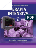 11-Terapia Intensiva.pdf
