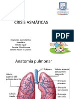 Crisis Asmaticas