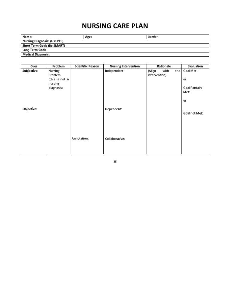 Nursing Care Plan Format | PDF