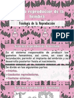 Aparato Reproductor de La Hembra PDF