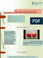 Alimentos Transgenicos 2020B