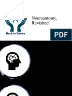 Neuroanatomy Lecture