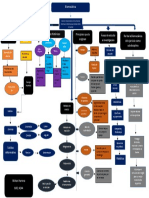 Mapa Conceptual Biomecanica