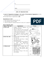 Level of Organization + Prac Worksheets by Yasmine H