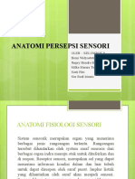 Anatomi Persepsi Sensori