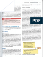 Colelitiasis PDF