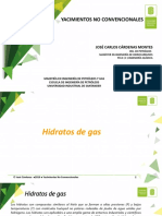 Hidratos de Gas PDF