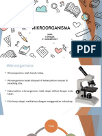 Mikroorganisma Tahun 6