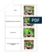PLANT ID.pdf