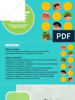 Semana 03-Biologia y Ecologia de Vectores