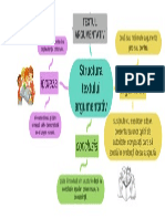 Textul Argumentativ