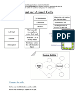 Plant and Animal Cells - Worksheet