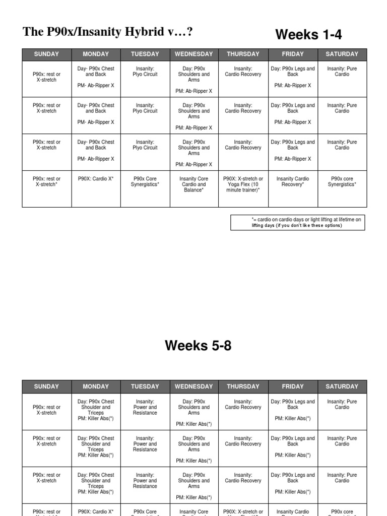 P90x/Insanity Hybrid Extreme Results Workout Plan