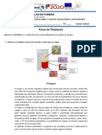 Sistema circulatório e constituintes do sangue