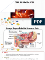 Anatomi-Fisiologi Sistem Reproduksi 17182.pdf