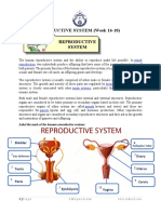 1 Reproductive System