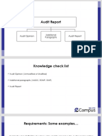 Audit Opinion Additional Paragraphs Audit Report