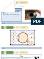 Starter: - Task: What Is The Function of An Eye? - Watch Video On Evolution of Eye