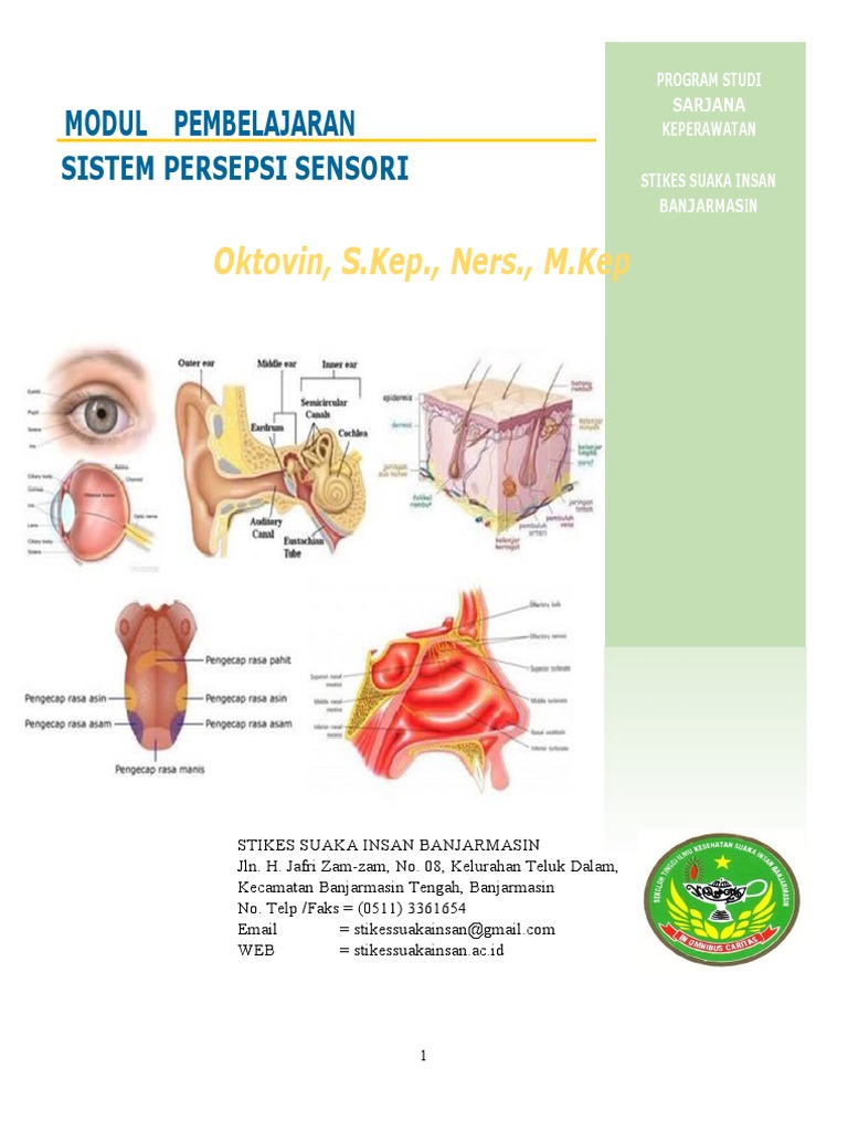 Panca Indera Pengecap