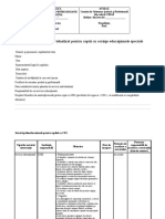 plan_servicii_ces_model.doc