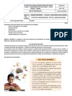 GUIA 4 C. NAT 8 Funcion de Relacion y Sistema Nervioso 14 Oct-14 Nov PDF