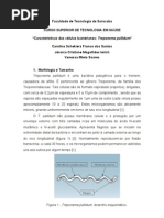 Download Treponema pallidum by VaneMietto SN49160557 doc pdf