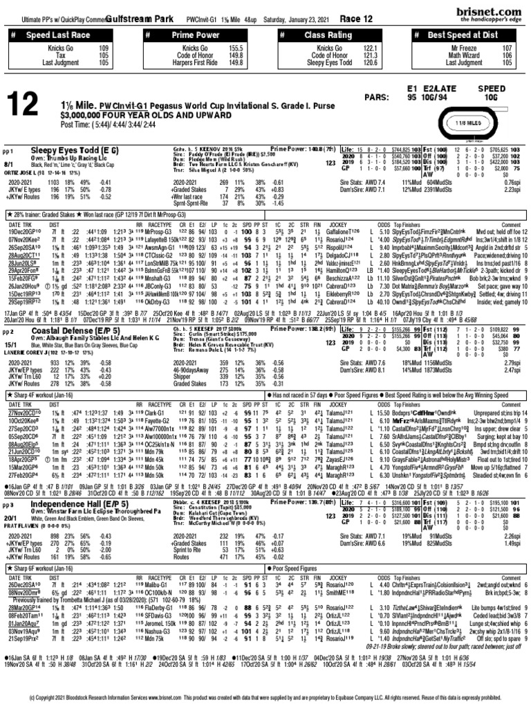 21 Pegasus World Cup Pps Animal Racing Thoroughbred Horses