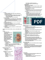 Urinary Sys