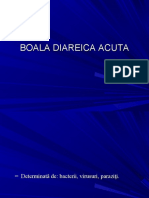 13 Boala Diareica