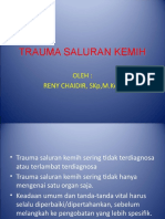 Trauma Saluran Kemih