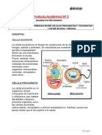 RICARDO PATIÑO RENDON PRODUCTO ACADEMICO Nro.2-BIOLOGIA