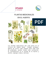 Plantas Medicinales en El Huerto
