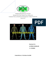 Sistema nervioso y sus funciones