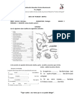 Guia Taxonomia