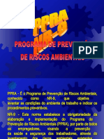 PPRA - Programa de Prevenção de Riscos Ambientais - 02595 [ E 2 ]