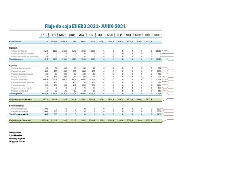 Flujo de Caja Mensual 2021 en Excel | PDF | Economias | Finanzas (general)
