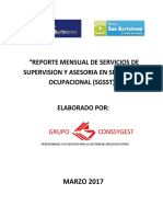 Informe Grupo San Bartolome 001-2017