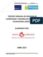 Informe Grupo San Bartolome 002-2017