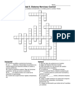 Actividad Crucigrama Sistema NErvioso Central