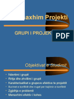 Grupi-i-Projektit Leksion